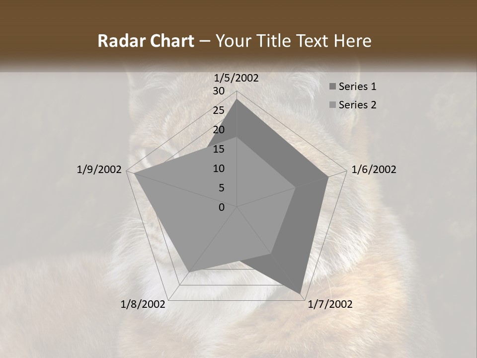 Hunter Nature Wildlife PowerPoint Template