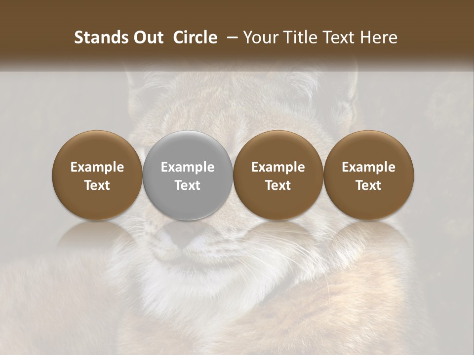 Hunter Nature Wildlife PowerPoint Template