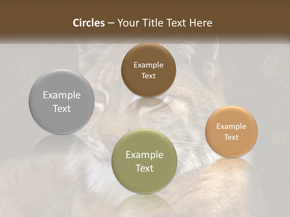 Hunter Nature Wildlife PowerPoint Template