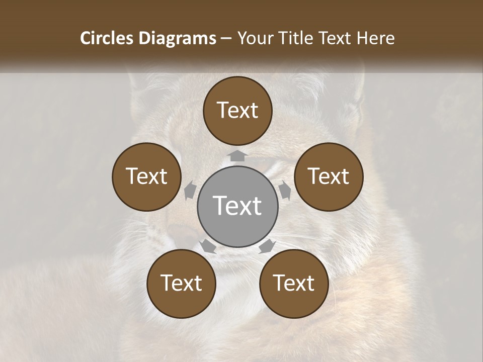 Hunter Nature Wildlife PowerPoint Template