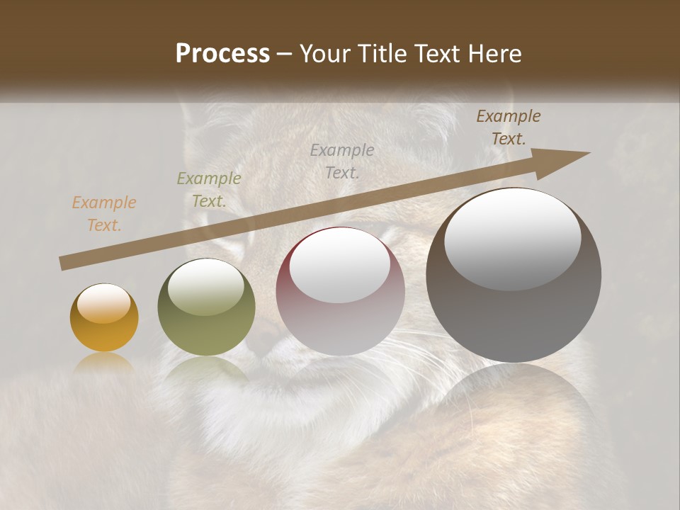 Hunter Nature Wildlife PowerPoint Template