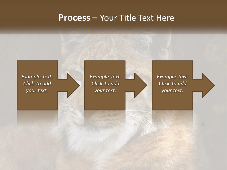 Hunter Nature Wildlife PowerPoint Template
