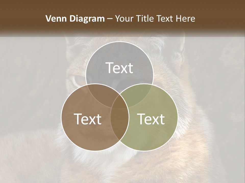 Hunter Nature Wildlife PowerPoint Template