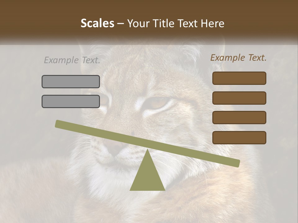 Hunter Nature Wildlife PowerPoint Template