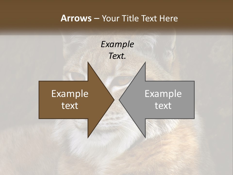 Hunter Nature Wildlife PowerPoint Template