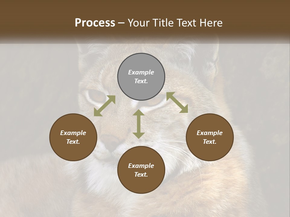 Hunter Nature Wildlife PowerPoint Template