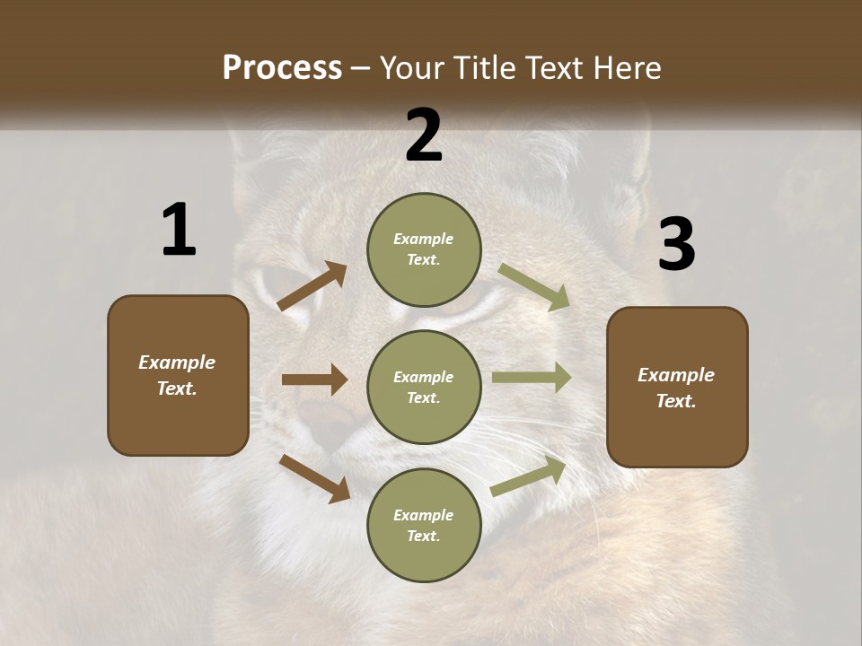 Hunter Nature Wildlife PowerPoint Template