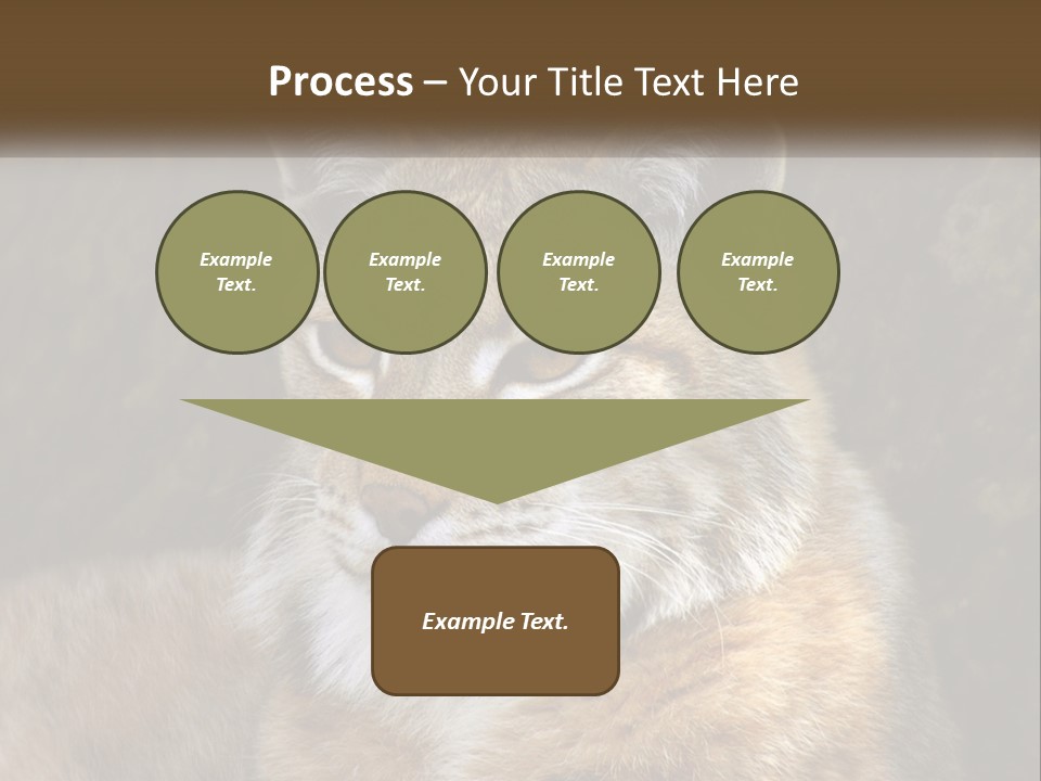 Hunter Nature Wildlife PowerPoint Template