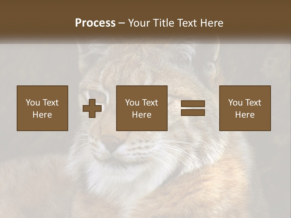 Hunter Nature Wildlife PowerPoint Template