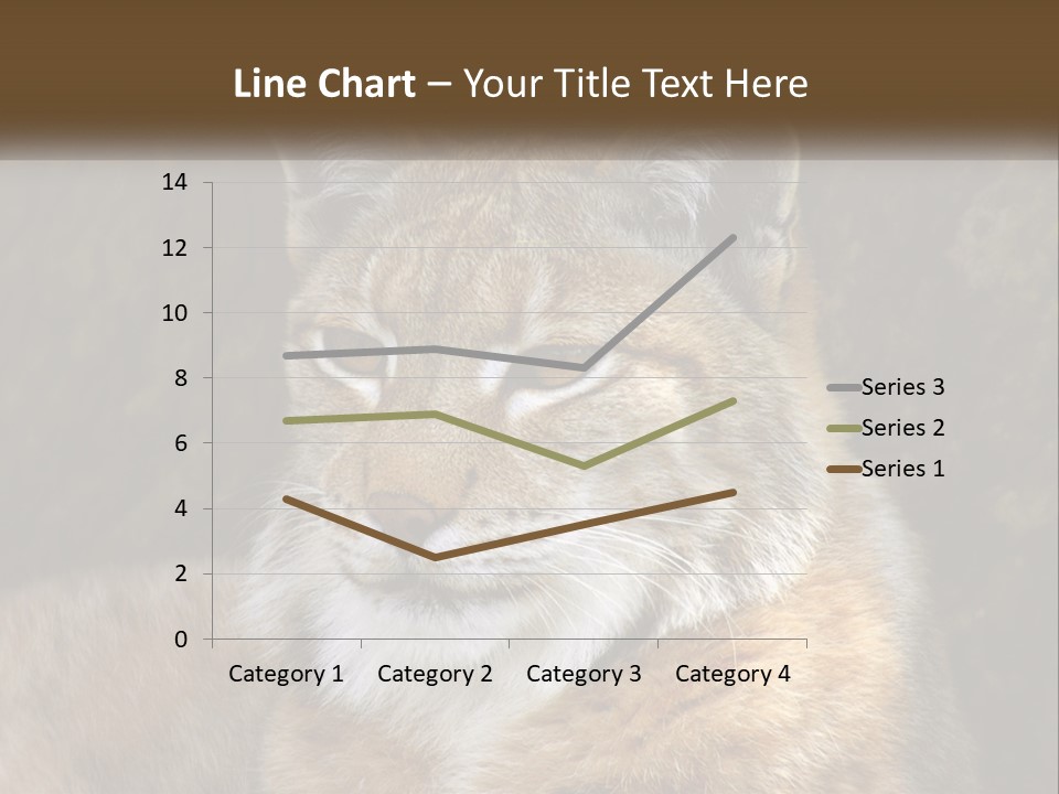 Hunter Nature Wildlife PowerPoint Template