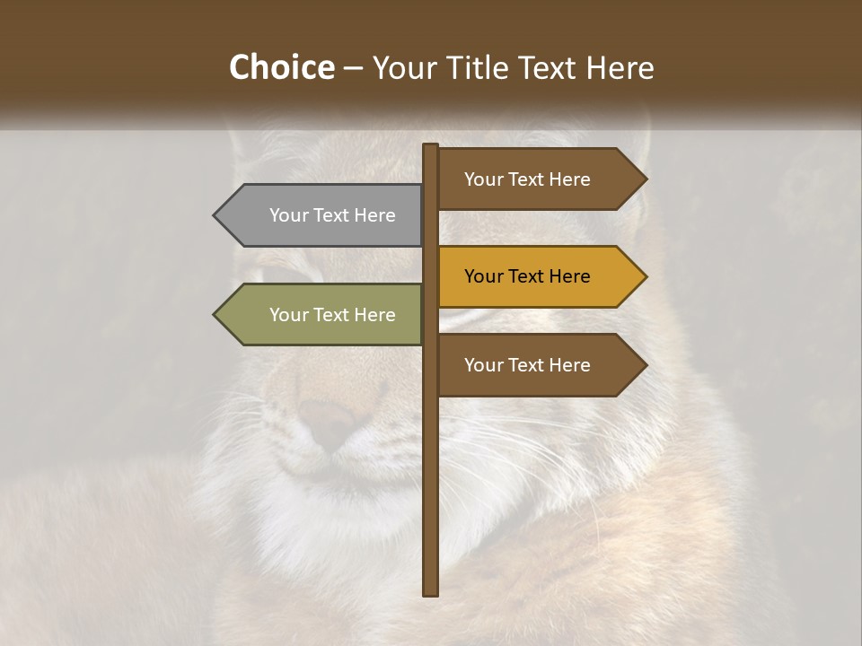 Hunter Nature Wildlife PowerPoint Template