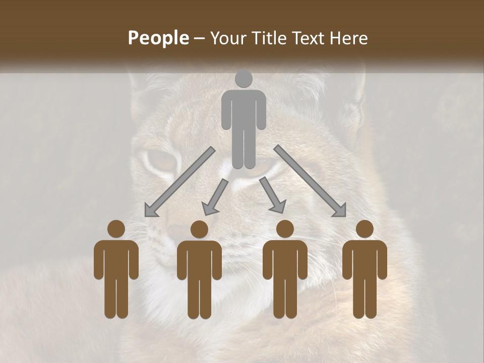 Hunter Nature Wildlife PowerPoint Template