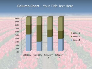 America Beautiful Scenic PowerPoint Template