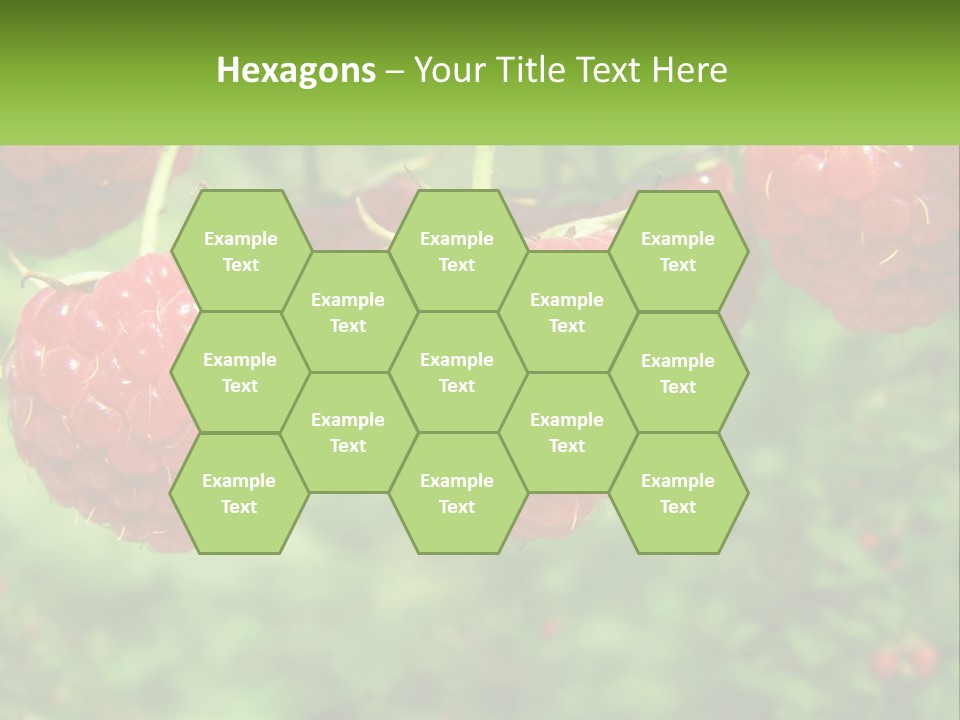 Group Nature Organic PowerPoint Template