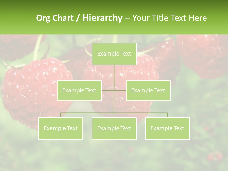 Group Nature Organic PowerPoint Template