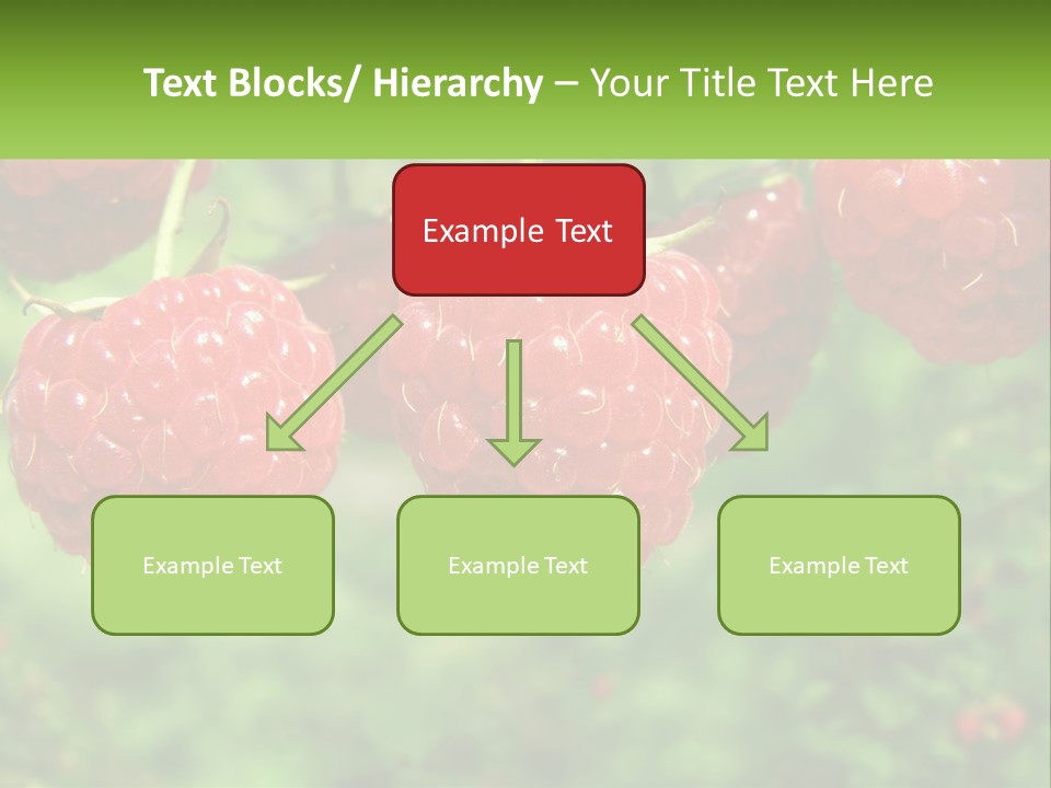 Group Nature Organic PowerPoint Template