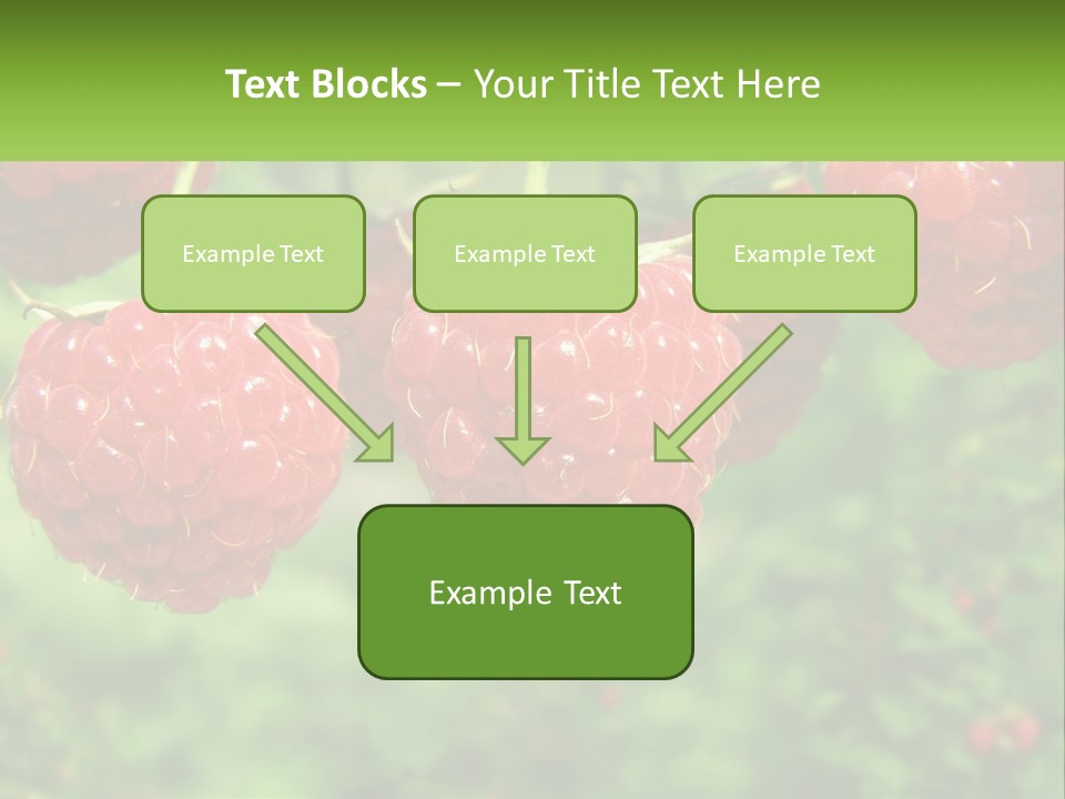 Group Nature Organic PowerPoint Template