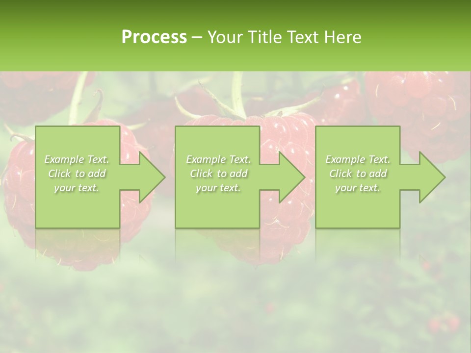 Group Nature Organic PowerPoint Template