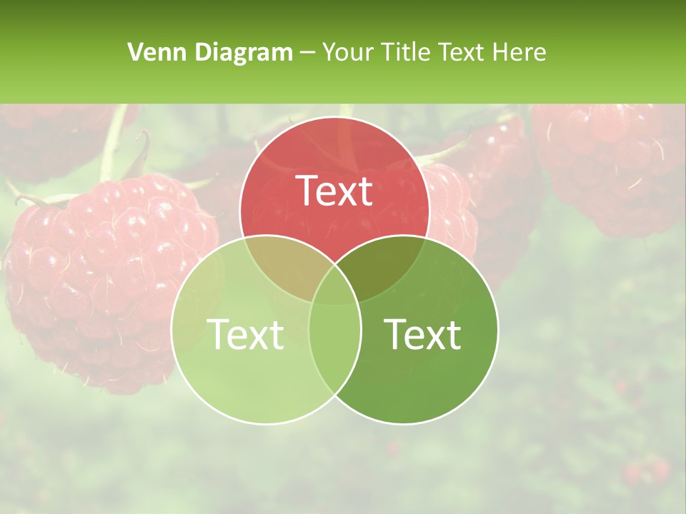 Group Nature Organic PowerPoint Template
