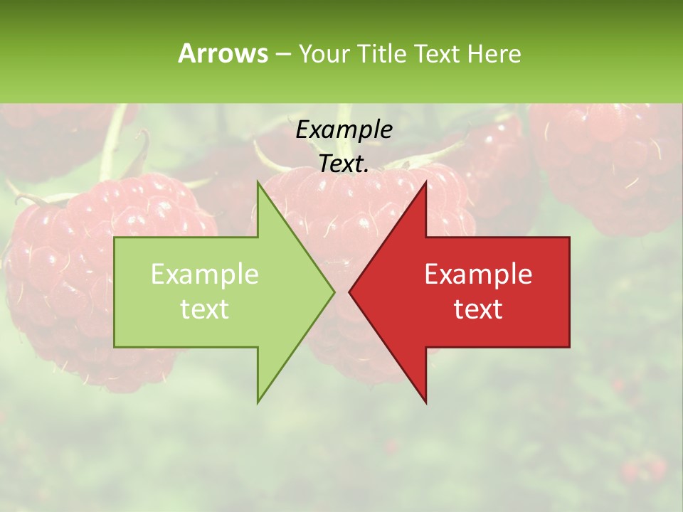 Group Nature Organic PowerPoint Template