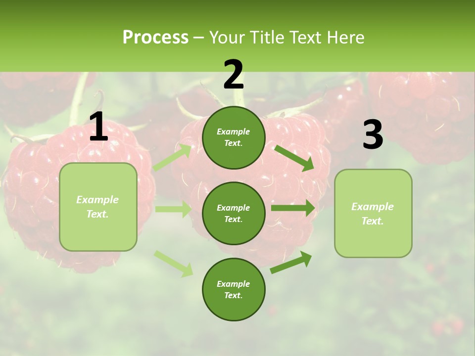 Group Nature Organic PowerPoint Template