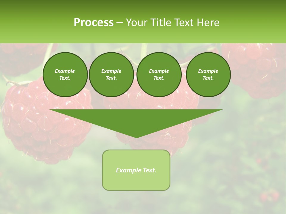 Group Nature Organic PowerPoint Template