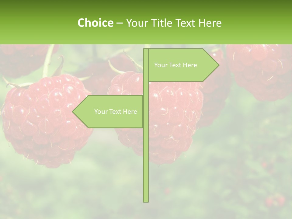 Group Nature Organic PowerPoint Template
