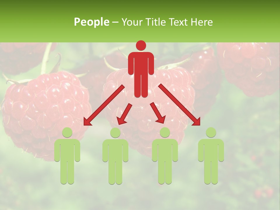 Group Nature Organic PowerPoint Template