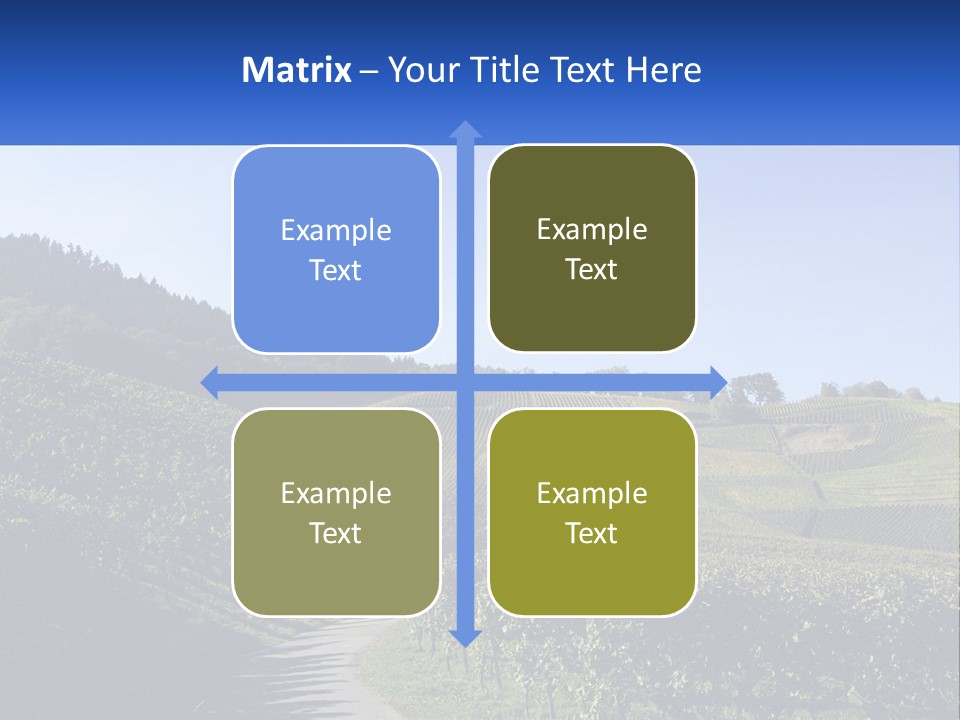 Summer Sunlight Forest PowerPoint Template