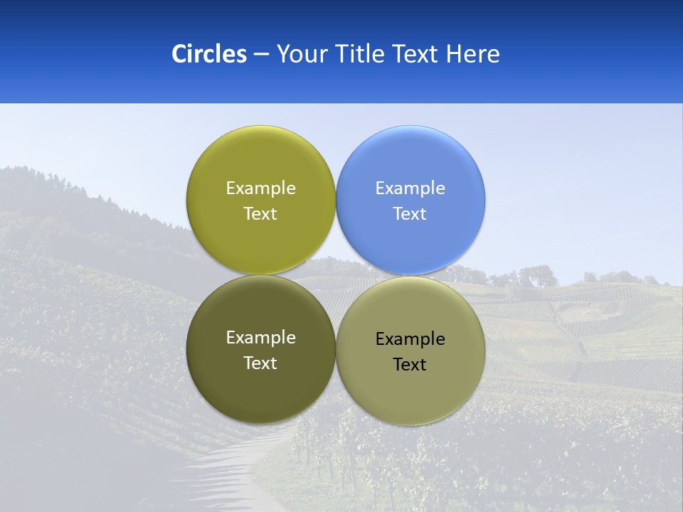 Summer Sunlight Forest PowerPoint Template