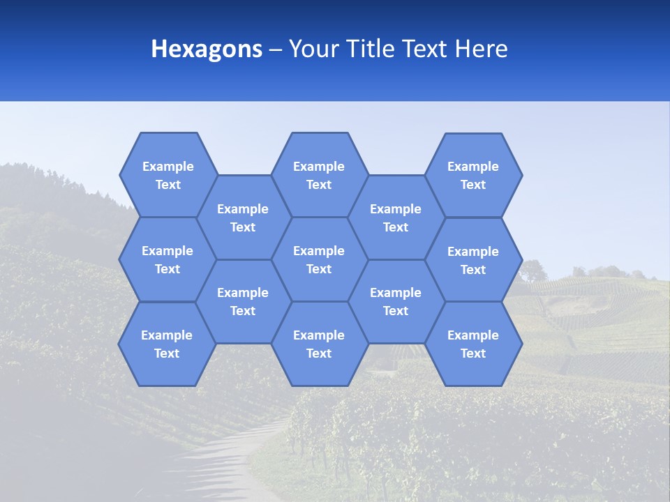 Summer Sunlight Forest PowerPoint Template