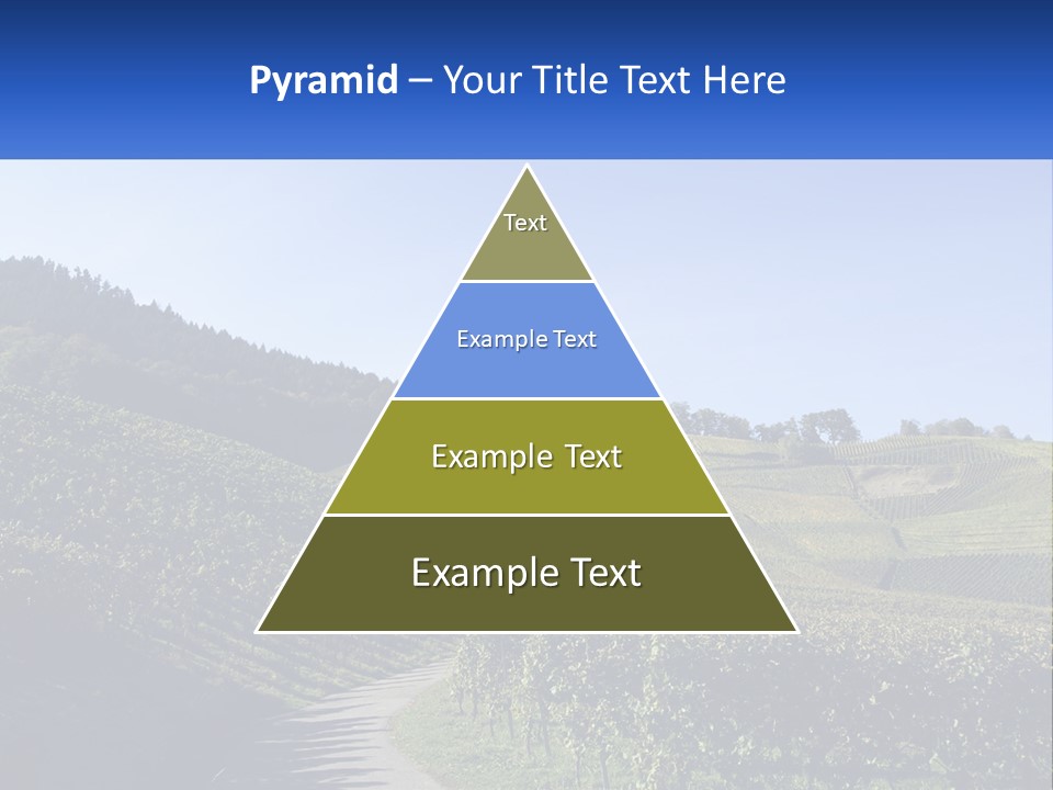 Summer Sunlight Forest PowerPoint Template