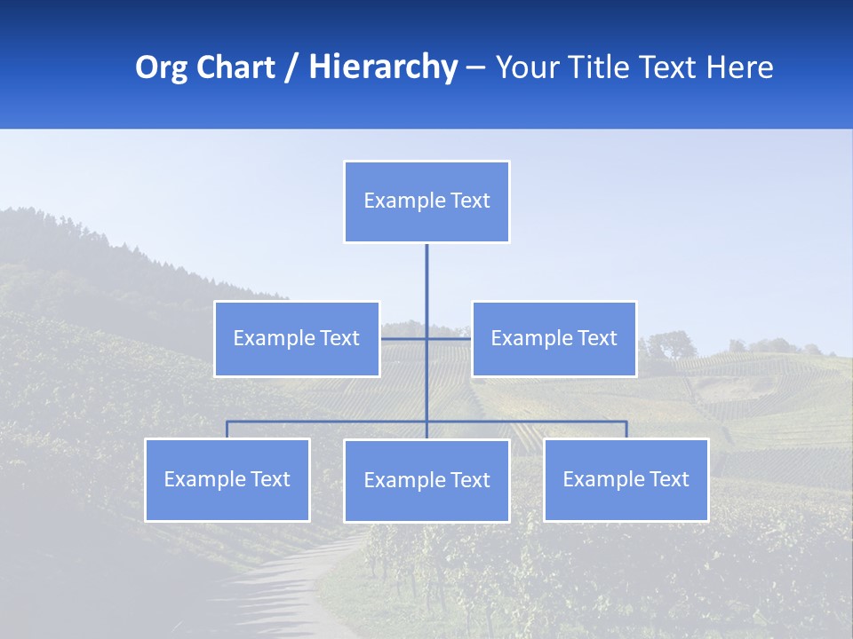 Summer Sunlight Forest PowerPoint Template