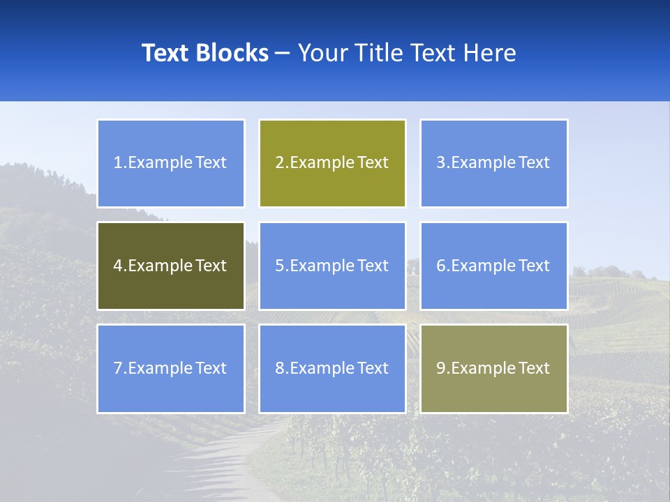 Summer Sunlight Forest PowerPoint Template