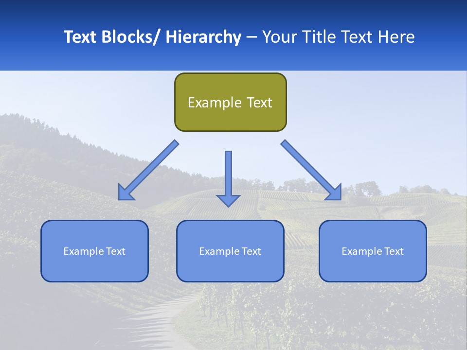 Summer Sunlight Forest PowerPoint Template