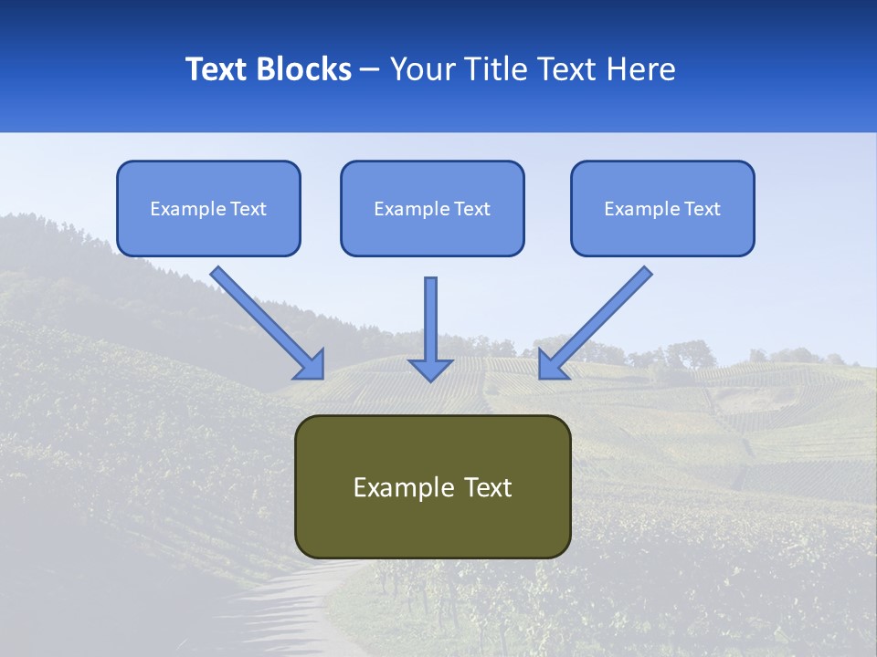 Summer Sunlight Forest PowerPoint Template