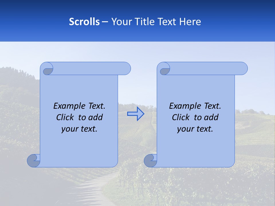 Summer Sunlight Forest PowerPoint Template