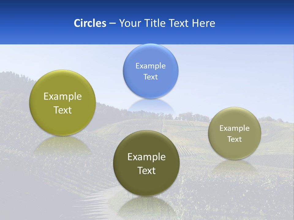 Summer Sunlight Forest PowerPoint Template