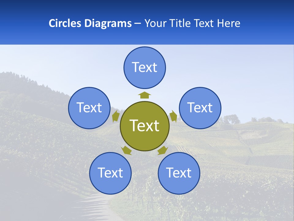 Summer Sunlight Forest PowerPoint Template