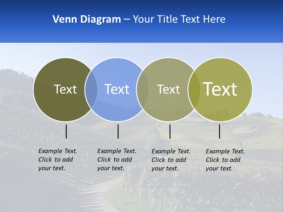 Summer Sunlight Forest PowerPoint Template
