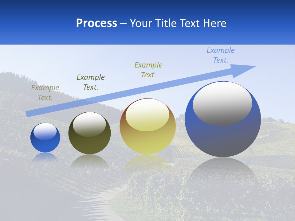Summer Sunlight Forest PowerPoint Template