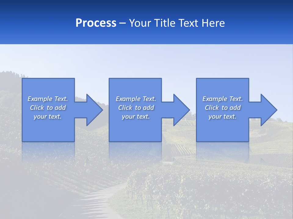 Summer Sunlight Forest PowerPoint Template
