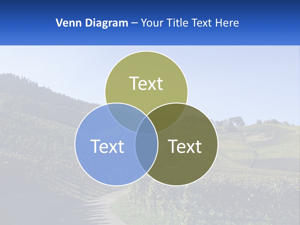 Summer Sunlight Forest PowerPoint Template