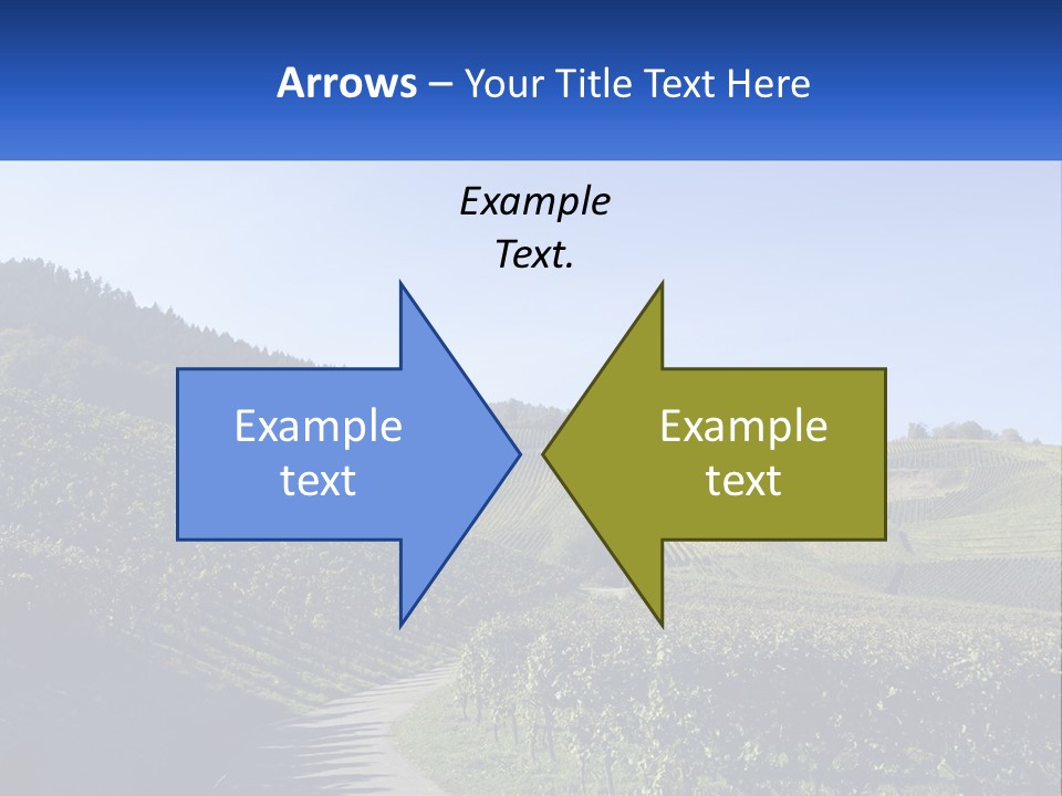 Summer Sunlight Forest PowerPoint Template