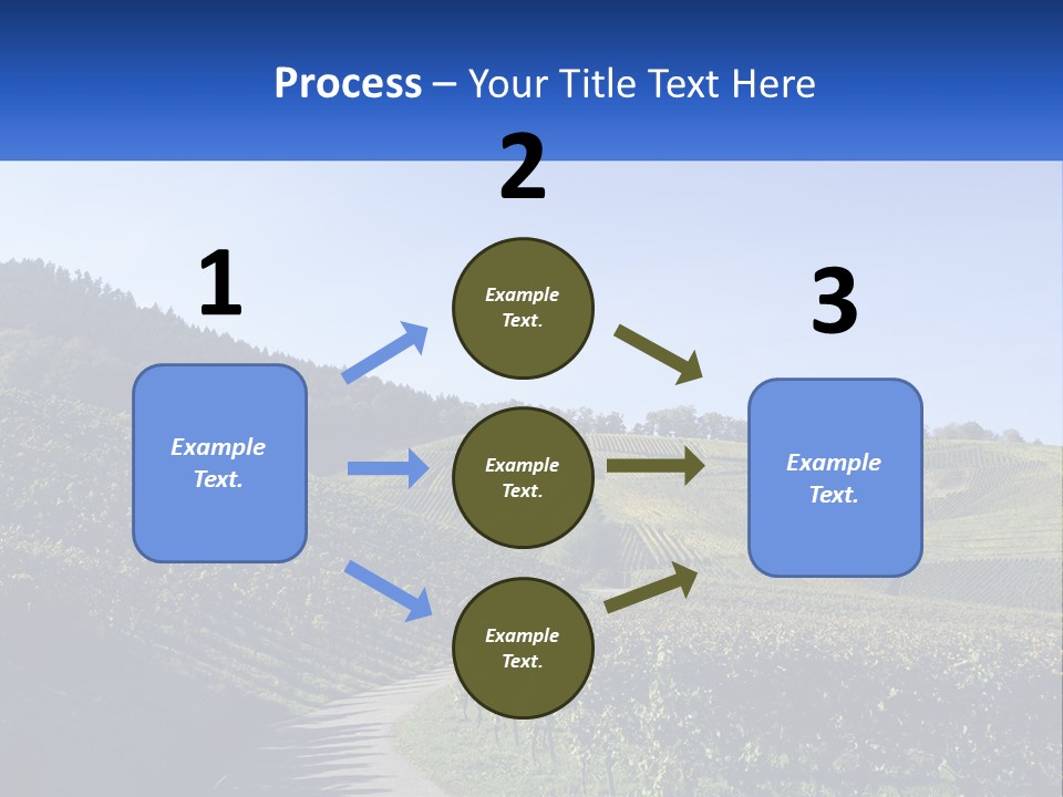 Summer Sunlight Forest PowerPoint Template