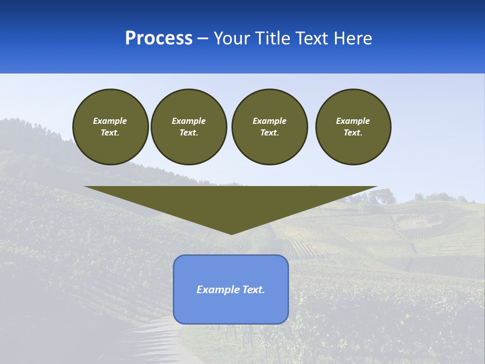 Summer Sunlight Forest PowerPoint Template