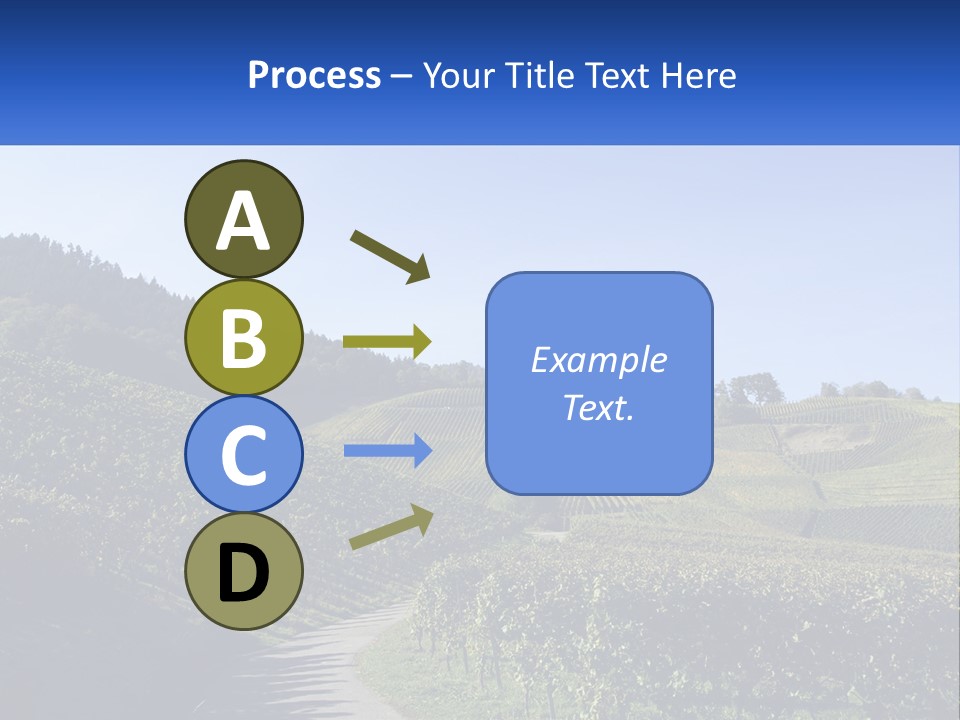 Summer Sunlight Forest PowerPoint Template