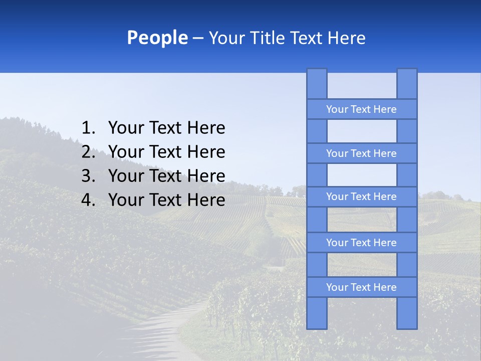 Summer Sunlight Forest PowerPoint Template