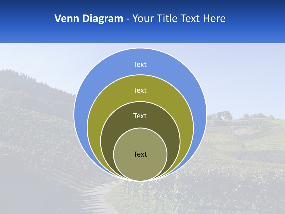 Summer Sunlight Forest PowerPoint Template