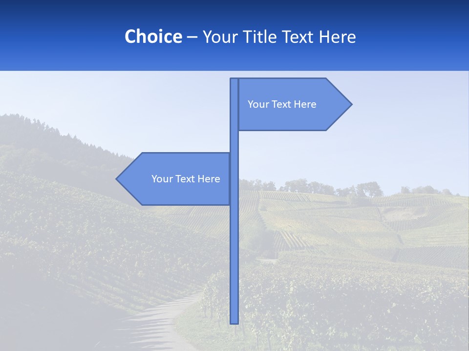 Summer Sunlight Forest PowerPoint Template